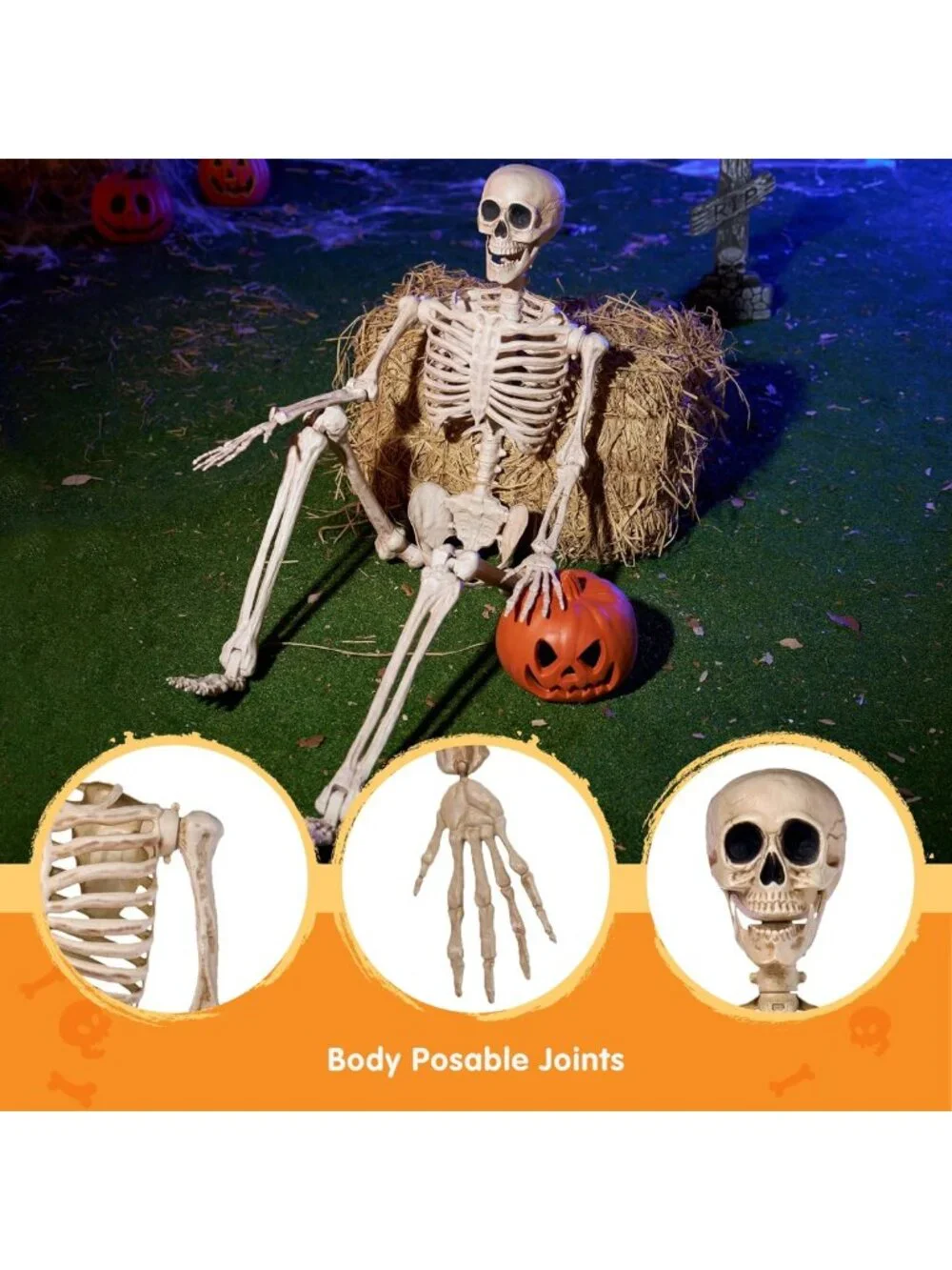 Life-Size 5FT Posable Skeleton Decor | Movable Joints for Halloween Parties